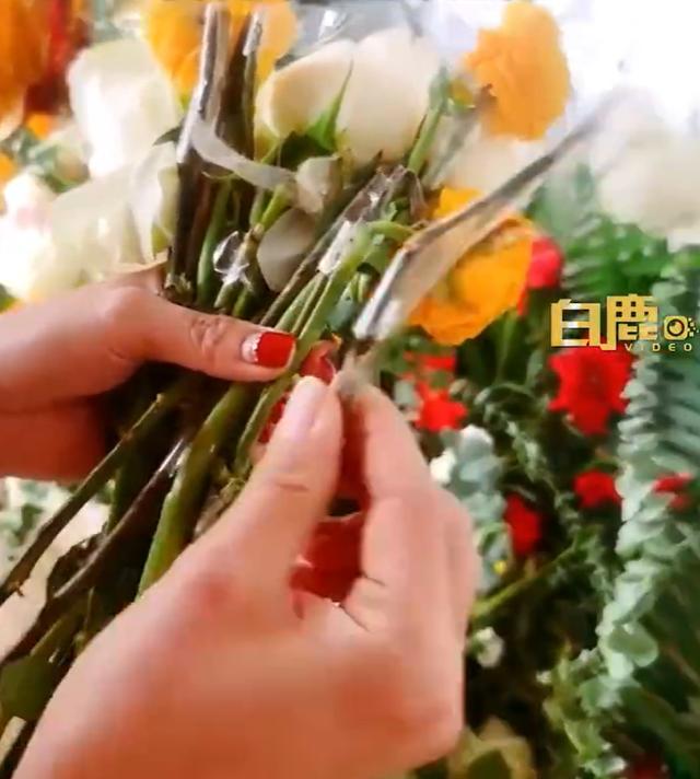 女子花2880元买到6束“牙签花”，当事人：贵就算了，花还这样，商家太黑了