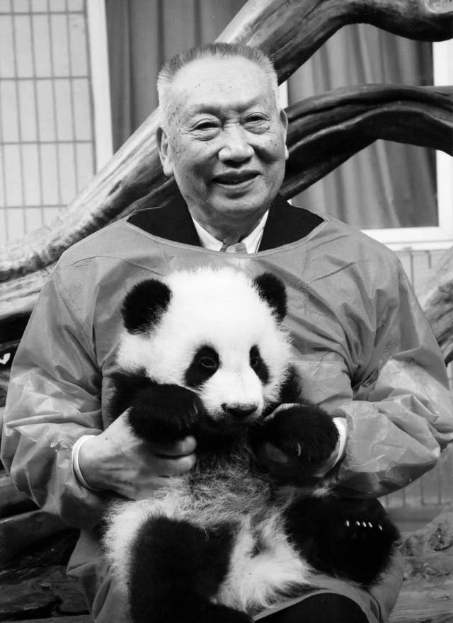 胡锦矗女儿：父亲临终前 念叨的还是大熊猫