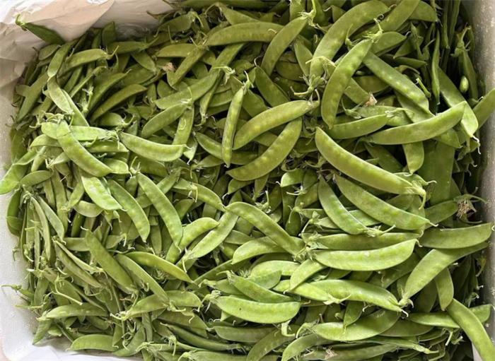 辣椒黄瓜上涨，土豆散菜花下跌 近期申城蔬菜批发交易量明显回升