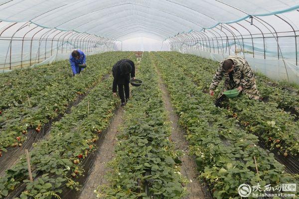 奋进的春天丨国网汉中供电公司：助力春耕 把电力服务送到田间