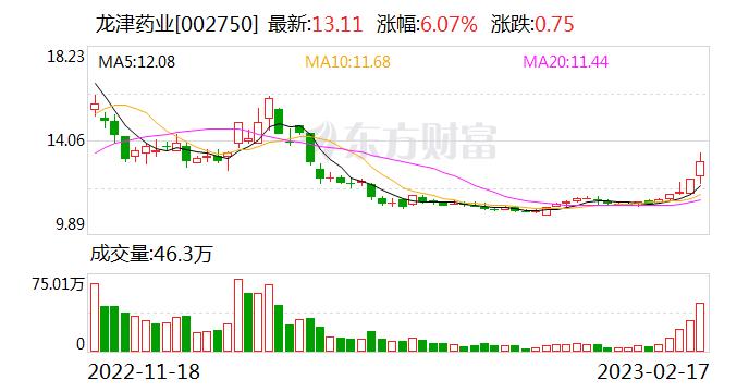 龙津药业：连续5日融资净买入累计2937.22万元（02-17）