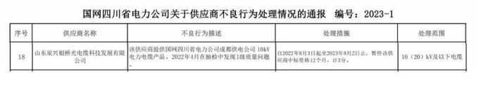 山东泉兴银桥光电缆因质量问题被国网湖北、国网四川连续通报