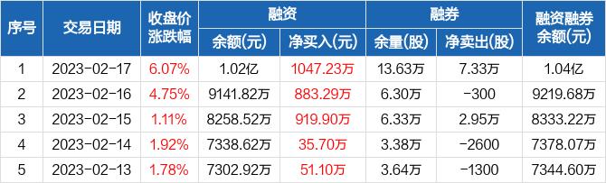 龙津药业：连续5日融资净买入累计2937.22万元（02-17）