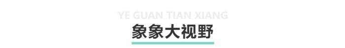 观天象｜俄乌冲突这一年②：不断被“奶”的乌克兰，正在成为北约代理人吗？