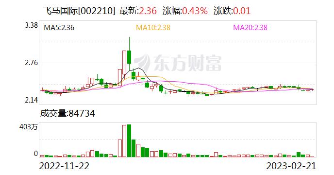 飞马国际：连续4日融资净买入累计330.91万元（02-20）