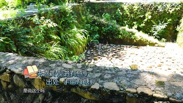 花开福见丨油菜花开，福建五夫镇喊你来触摸春天，感受浓浓古韵！