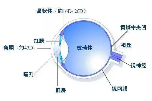 家门口就能看省级博士后医生，直击眼底病专家李永浩教授亲诊现场！