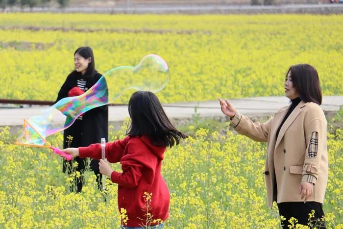 花开福见丨油菜花开，福建五夫镇喊你来触摸春天，感受浓浓古韵！