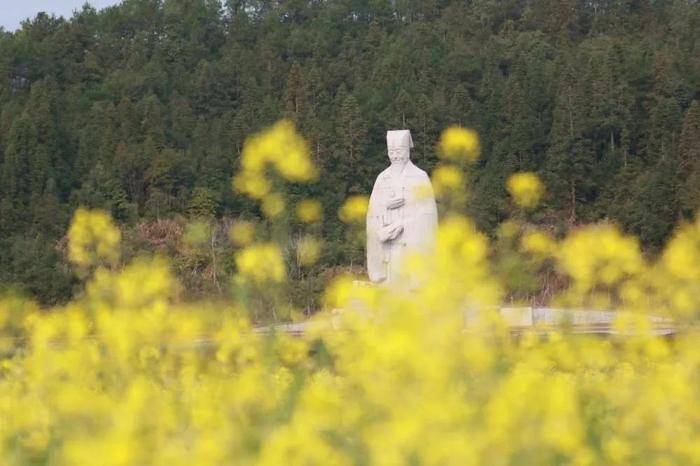 花开福见丨油菜花开，福建五夫镇喊你来触摸春天，感受浓浓古韵！