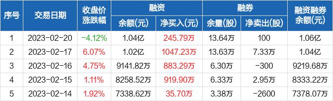 龙津药业：连续6日融资净买入累计3183.01万元（02-20）