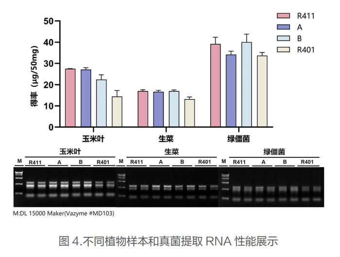 新品体验 | 超经典的VeZol总RNA提取试剂，你还没试用吗？