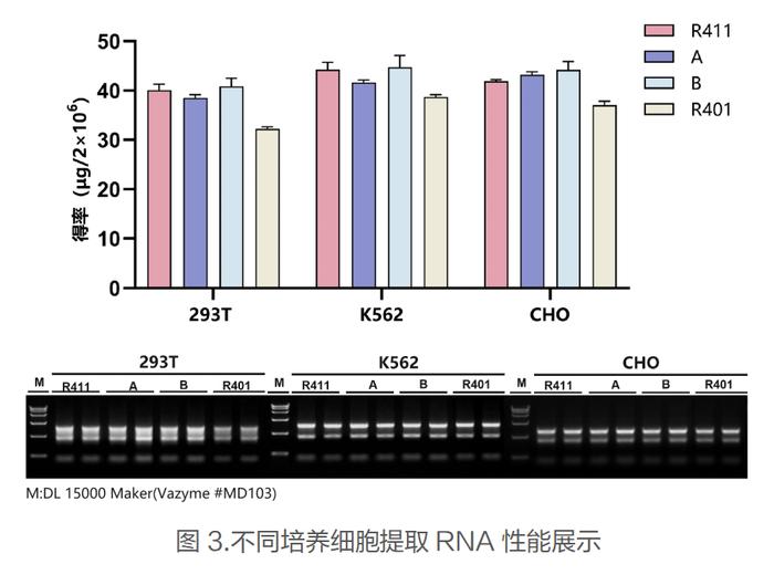 新品体验 | 超经典的VeZol总RNA提取试剂，你还没试用吗？