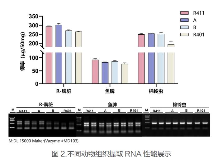 新品体验 | 超经典的VeZol总RNA提取试剂，你还没试用吗？