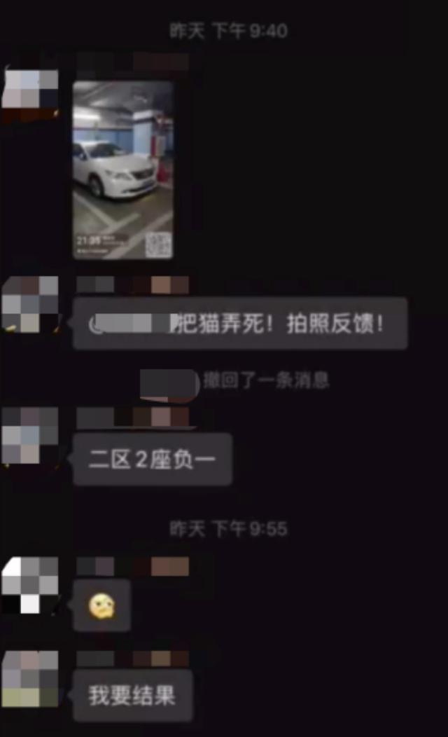 小区保安主管命令员工虐杀小猫，“把猫弄死还要拍照反馈”，物业回应：猫发情整夜叫，很恐怖的