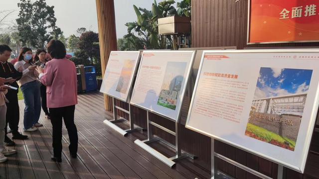 「高质量发展看中国」集聚高端制造业、发展现代服务业 滨海湾新区助推粤港澳大湾区特色合作