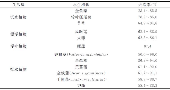 不同污染水体，该怎么选择水生植物？