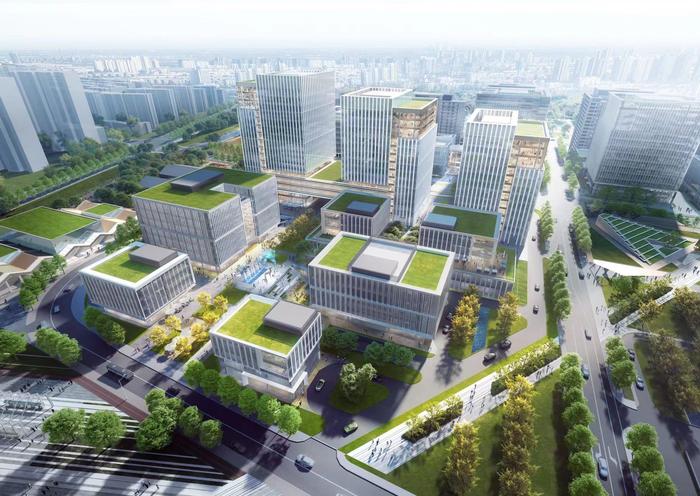 总部企业集聚徐汇“南部中心”，这个镇做对了什么