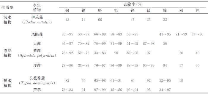 不同污染水体，该怎么选择水生植物？