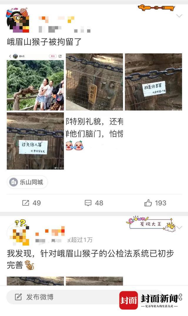 云辟谣｜峨眉山猴子被拘留？地方回应：假的，峨眉山猴子是国家二级保护动物