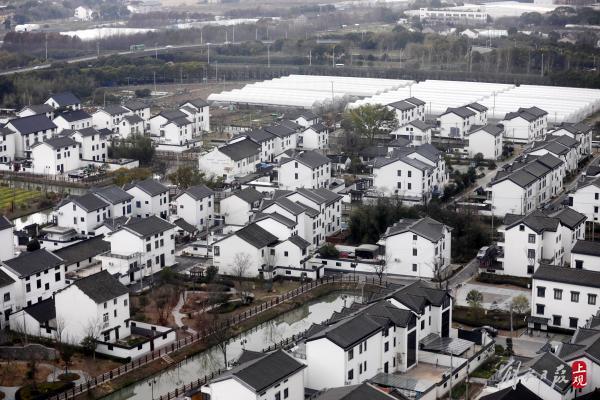 上海首条乡村航空旅游线路在浦江镇起飞 可空中饱览迪士尼、召稼楼古镇风光