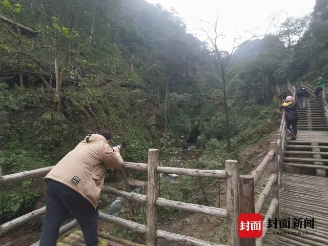 云辟谣｜峨眉山猴子被拘留？地方回应：假的，峨眉山猴子是国家二级保护动物