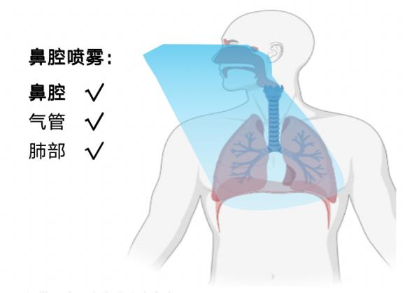 盘点如何从传新冠变异株的围攻中“全身而退”?