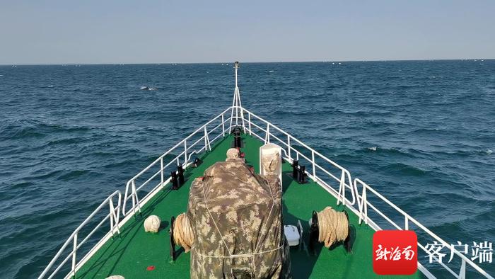 温馨一幕 海豚群在琼州海峡伴航海警舰艇