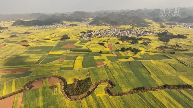 露营在罗平油菜花海里 邂逅云南美丽春天