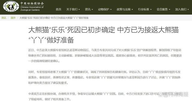 “乐乐”死因初判为心脏病变，“丫丫”回国手续正在办理