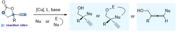 廉价过渡金属催化环状炔丙酯新反应模式开发研究获进展