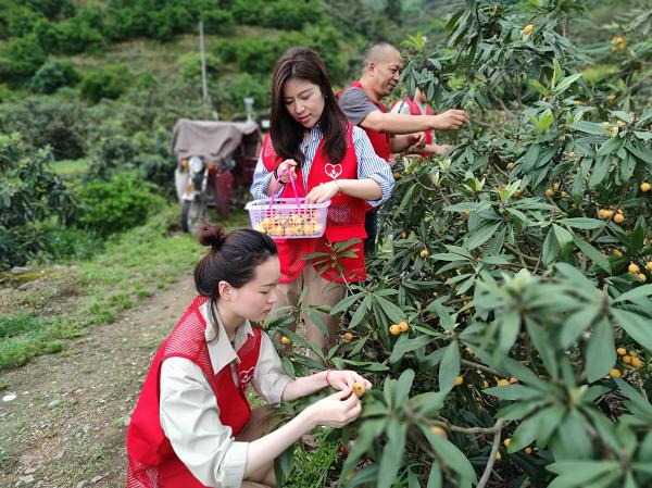 从“盆景”到“风景” 浙江丽水市烟草专卖局开启帮扶新篇章