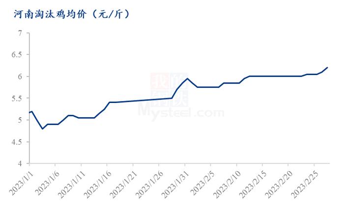 Mysteel解读：供需差异，河南鸡蛋和淘汰鸡价格表现不一