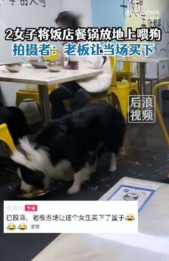 江西俩女子将饭店餐锅放地上喂狗，拍摄者：已投诉，老板让其当场买下餐锅