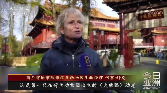 旅美大熊猫“丫丫”即将回国！中方专家组：除皮肤病导致的毛发脱落外，食欲良好