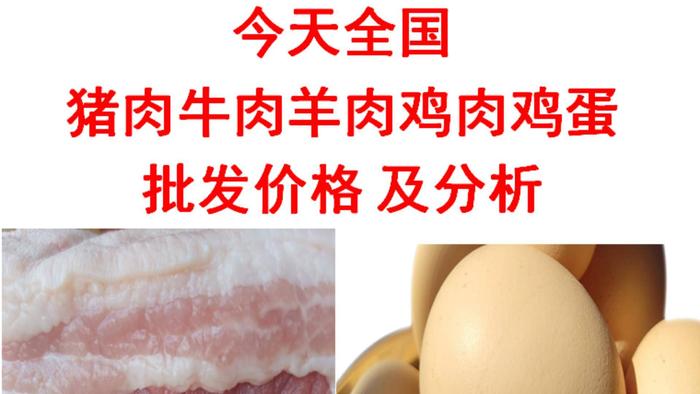 2023年02月28日全国猪肉牛肉羊肉鸡肉鸡蛋批发价格日报及分析