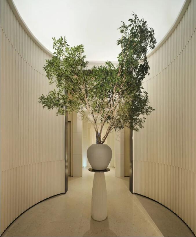 AEVUM SPA 深圳万象天地店