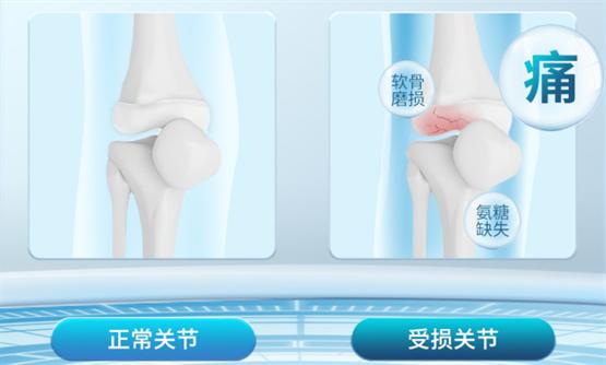 华森制药严品森活 氨糖软骨素钙胶囊，守护关节健康