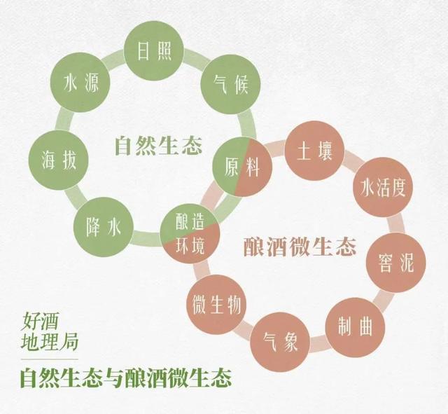 江南大学徐岩：酿酒“地域生态依赖”的科学在哪里？