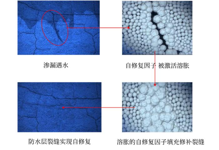 东方雨虹300自修复型防水涂料：自修复，更安心