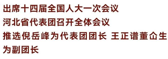 出席十四届全国人大一次会议 河北省代表团召开全体会议