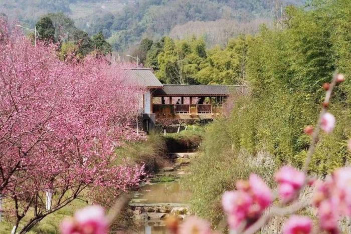 图源:雅安蒙顶山花间堂·茶马司