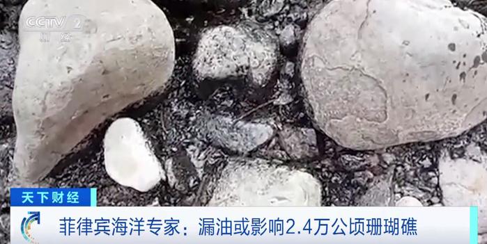 这里一油轮沉没，80万升燃油泄漏！2.4万公顷珊瑚礁或受影响…