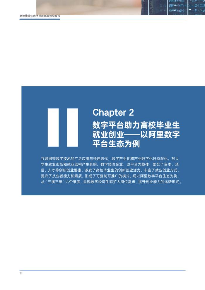 东北师大&阿里研究院：2023年高校毕业生数字经济就业创业报告