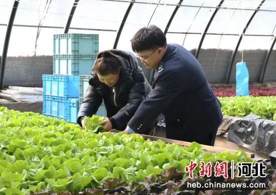 【中国式现代化河北场景·廊坊新篇章】永清：搭建银企对接平台 助企融资促生产