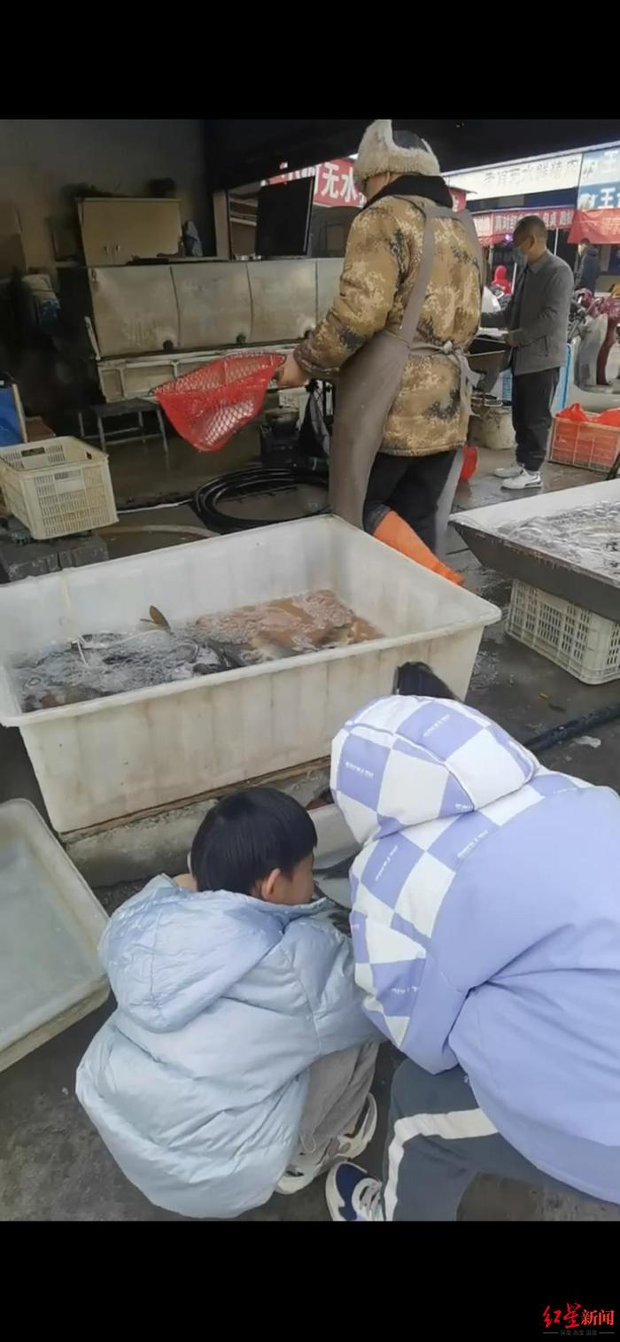 ↑孩子在鱼摊边玩耍 受访者供图