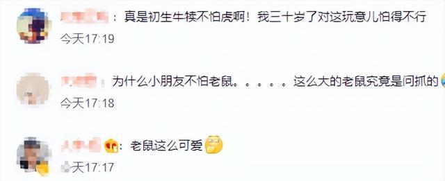 男孩手提肥硕老鼠要回家煲汤吓坏奶奶，目击者：小孩比较皮以为老鼠能吃，已丢掉