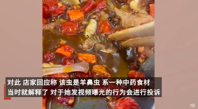 女顾客吐槽在羊肉馆吃出3只虫，“个头很大”，店家回应：是一种营养价值很高的药材，她不懂，我会投诉她