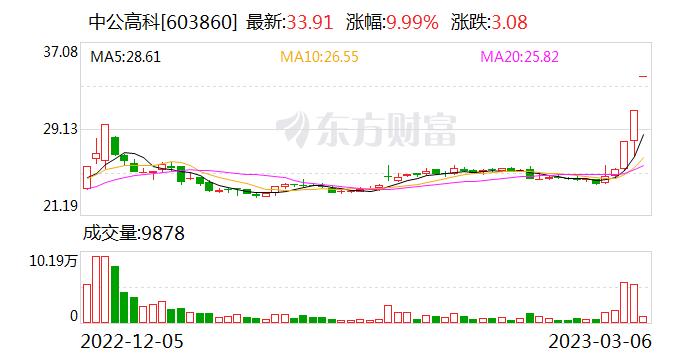 3月6日午间涨停分析：中字头板块中公高科3板