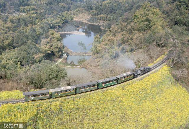 四川犍为：嘉阳小火车穿行金色油菜花海