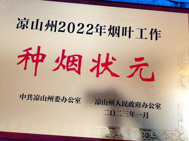 大凉山烟农李仕富：从“打工仔”到“种烟状元”的“进阶”之路